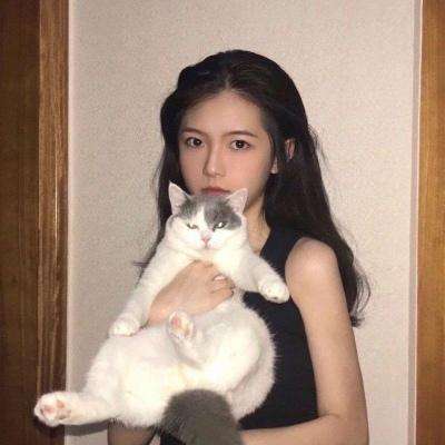 梦想江湖果盘版下载